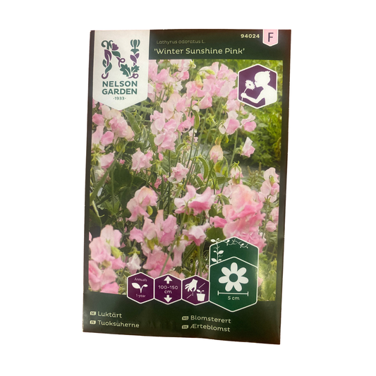 Luktärt rosa fröpåse Winter Sunshine Pink, framsida med ljusrosa blomsterärter